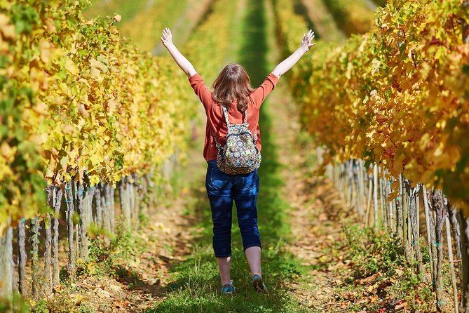 Classic Wine Tour in Chianti From Florence - The Sum Up