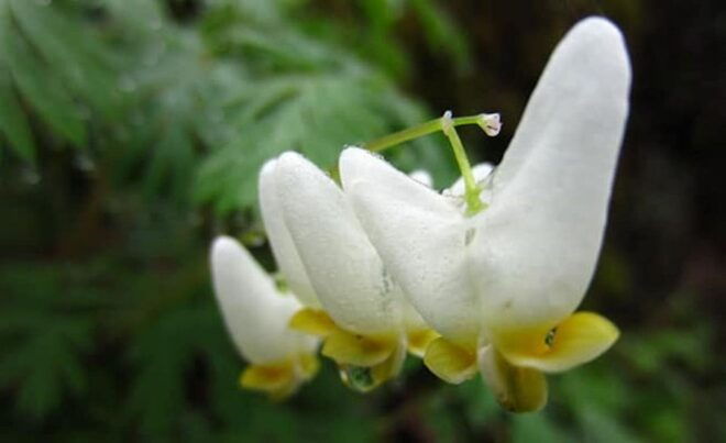 Clayton: Chattooga River Rafting on Class III Rapids - What to Bring and Wear