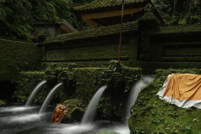 Cleansing and Healing Spiritual tour at Mengening Temple - Exploring the Itinerary: What to Expect