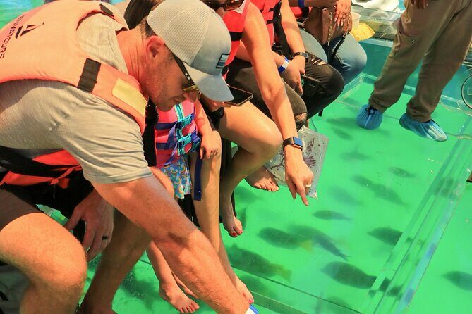 Clear Boat at Cozumel Island! Round Transportation From Playa Del Carmen - What Reviewers Say (Based on Available Feedback)