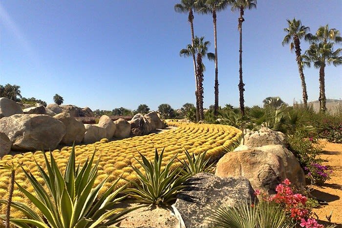 Clear Boat Ride and City Tour in Los Cabos - Should you book the Cabo clear-boat tour?