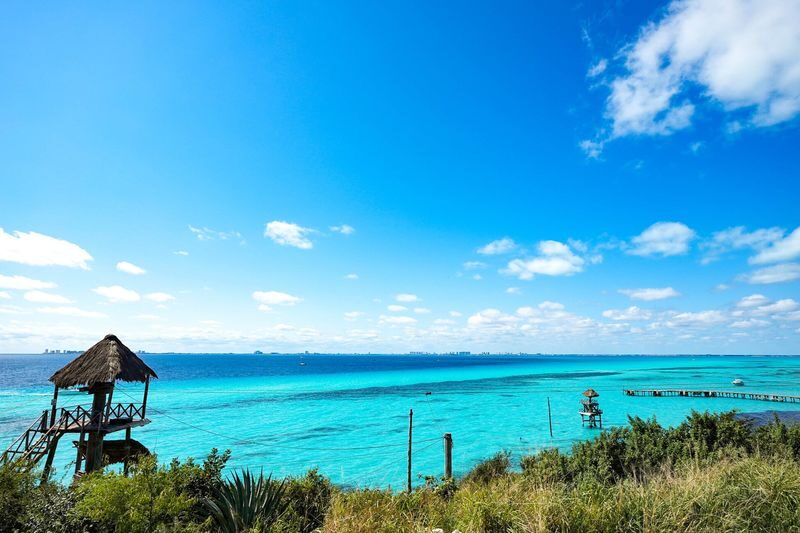 Clear Boat Ride in Isla Mujeres Cancun - What a clear-bottom boat can show you