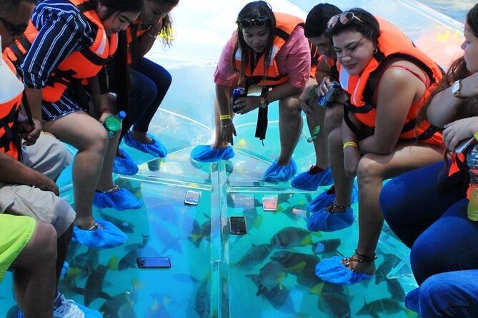 Clear Boat Ride in Los Cabos - Round Trip Transportation and Clear Boat Option