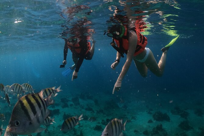 Clear Boat & Snorkel Cozumel Tour With Drinks - Glass-Bottom Boat Experience