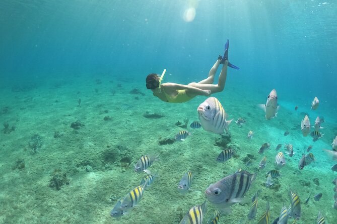 Clear Boat & Snorkel Cozumel Tour With Drinks - Additional Information and Accessibility
