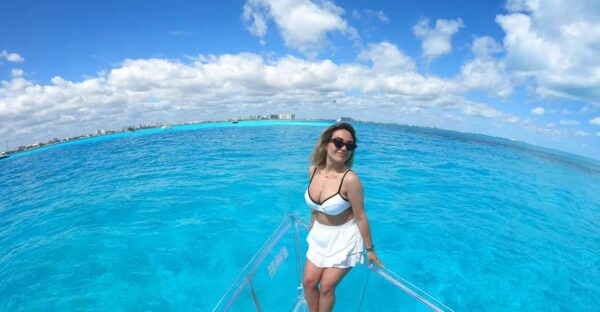 Clear Boat - Marine Life Sightings
