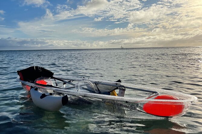 Clear Bottom Glassy Kayak Rental Safe and Stable Kayaks - Overview and Booking Details