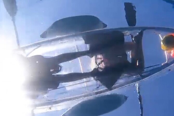 Clear Bottom Glassy Kayak Rental Safe and Stable Kayaks - Meeting and Pickup Information