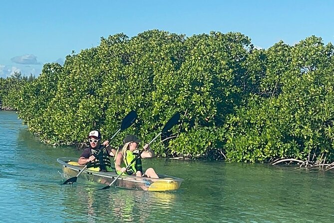 Clear Bottom Kayak Mangrove Eco Tour - Inclusions