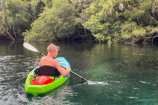 Clear Bottom Kayak Rental for Kings Bay Three Sisters Springs - The Benefits of Clear Bottom Kayaks