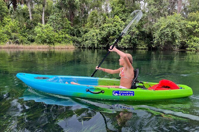 Clear Bottom Kayak Rental for Kings Bay Three Sisters Springs - The Sum Up
