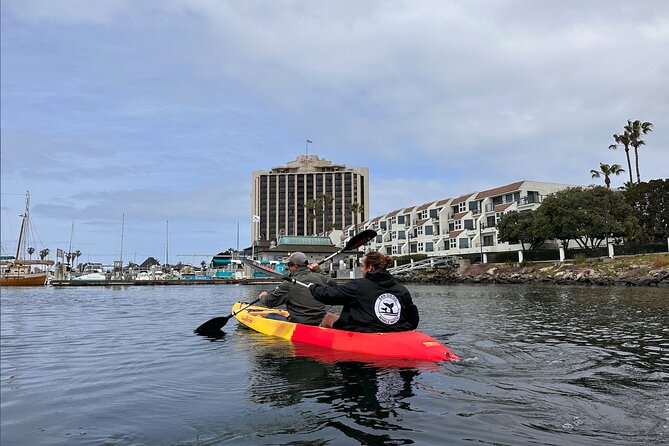 Clear Bottomed Kayak Rentals in San Diego - Meeting and Logistics