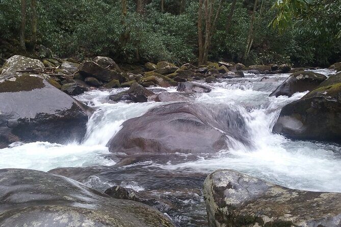 Clear Creek Falls Hike - Who Is This Tour Best For?
