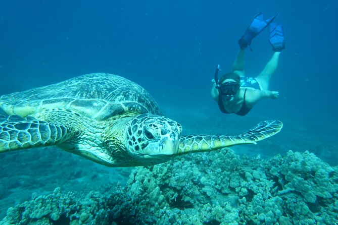 Clear Kayak and Snorkel Tour From Makena in South Maui - Kind and Clear Instructions