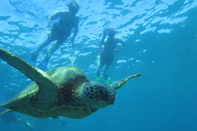 Clear Kayak and Snorkel Tour From Makena in South Maui - Must-Do Activity in Maui