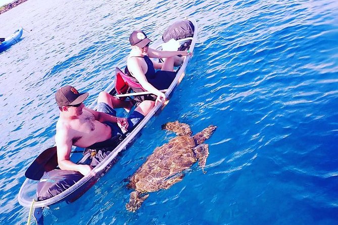 Clear Kayak and Snorkel Tour From Makena in South Maui - The Sum Up