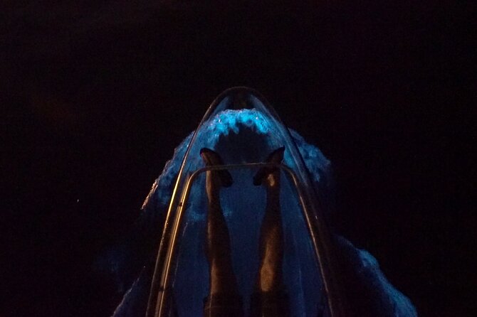 Clear Kayak Bioluminescence Tour - Inclusions