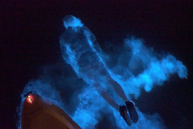 Clear Kayak Bioluminescence Tour - Safety Guidelines