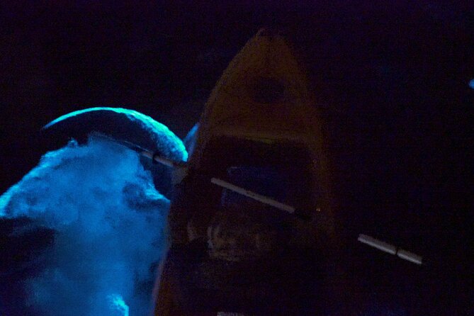 Clear Kayak Bioluminescence Tour - Common Questions