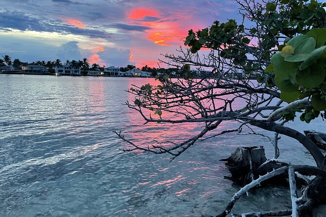 Clear Kayak Eco Tour in Jupiter, Florida - Meeting and Pickup