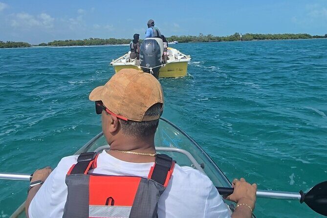 Clear Kayak ECO Tours - Exploring Clear Kayak ECO Tours in Providenciales