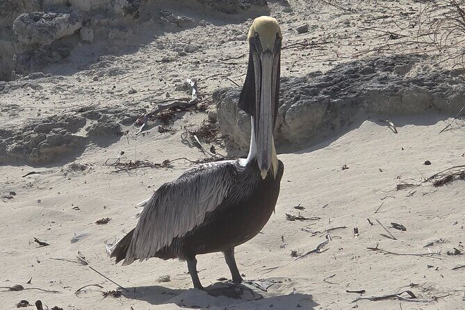 Clear Kayak ECO Tours - The Experience: What to Expect from Start to Finish
