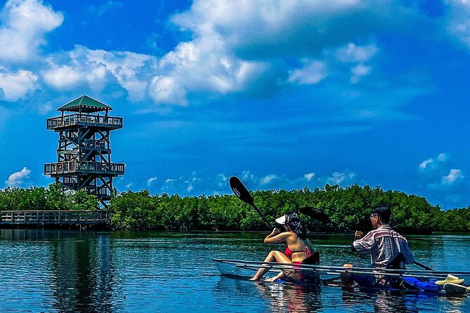 Clear Kayak Ecotour at Robinson Preserve in Bradenton, Florida - Overview and Pricing