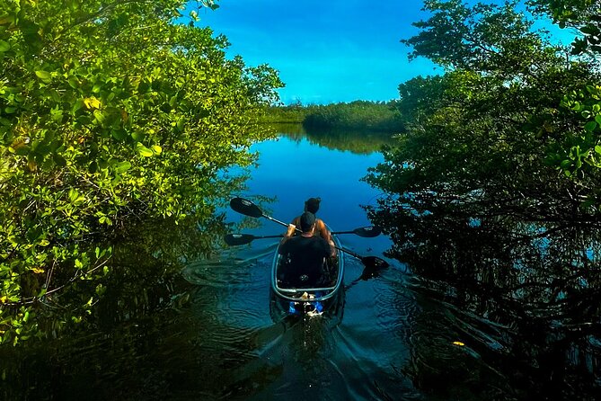 Clear Kayak Ecotour at Robinson Preserve in Bradenton, Florida - Meeting Point
