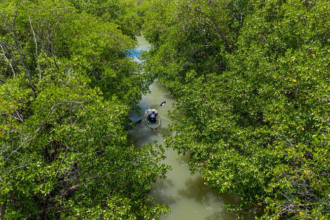 Clear Kayak Guided Tours in Naples - Expectations and Experience