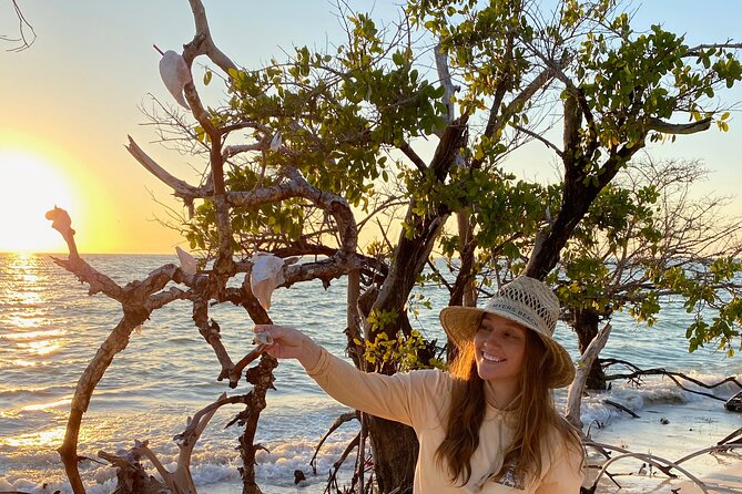Clear Kayak Guided Tours in Naples - Additional Highlights