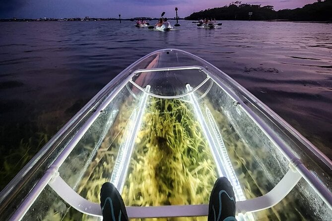 Clear Kayak LED Night Glass Bottom Tour - Siesta Key, FL - Tour Details