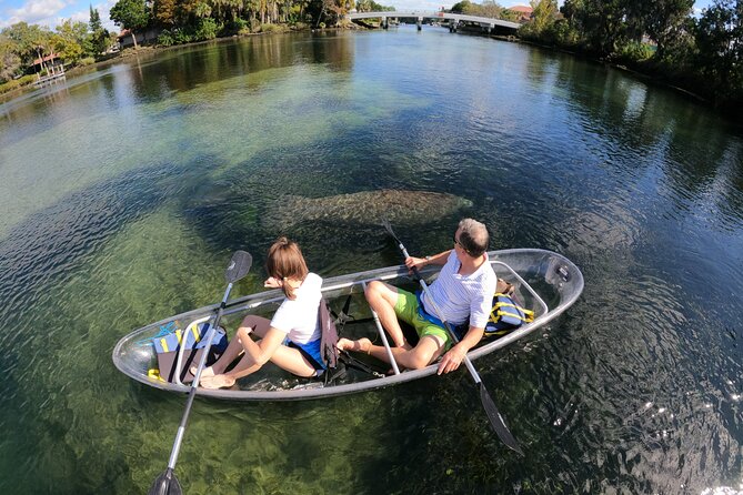 Clear Kayak Manatee Ecotour of Crystal River - Whats Included and Meeting Details
