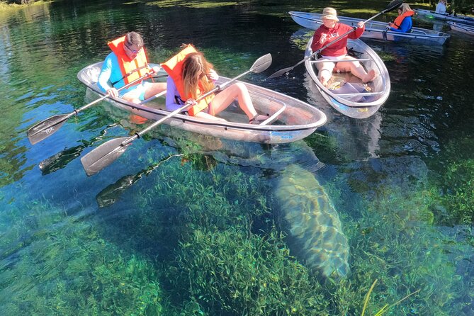 Clear Kayak Manatee Ecotour of Crystal River - Additional Information and Cancellation Policy