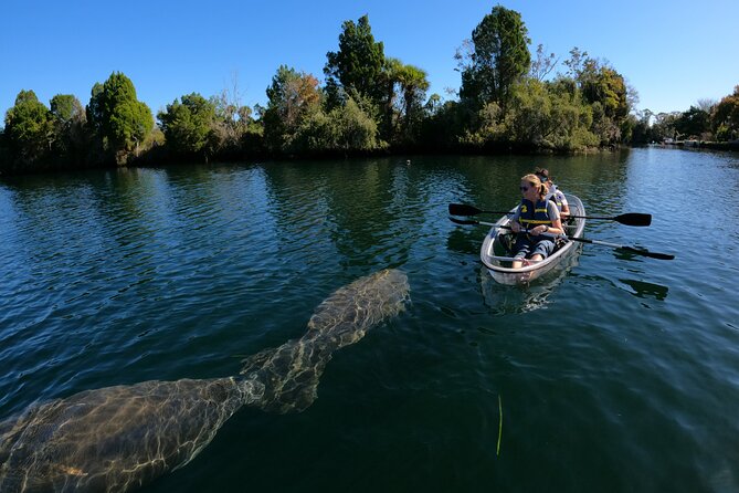 Clear Kayak Manatee Ecotour of Crystal River - Common Questions