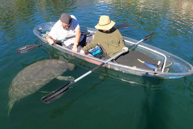 Clear Kayak Manatee Ecotour of Crystal River - The Sum Up