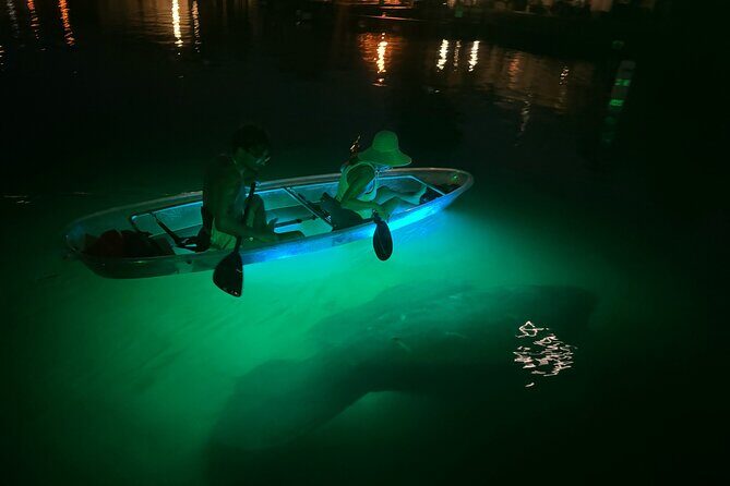 Clear Kayak Manatee Viewing Sunset and Glow Tour of Crystal River - Authentic Insights from Reviewers