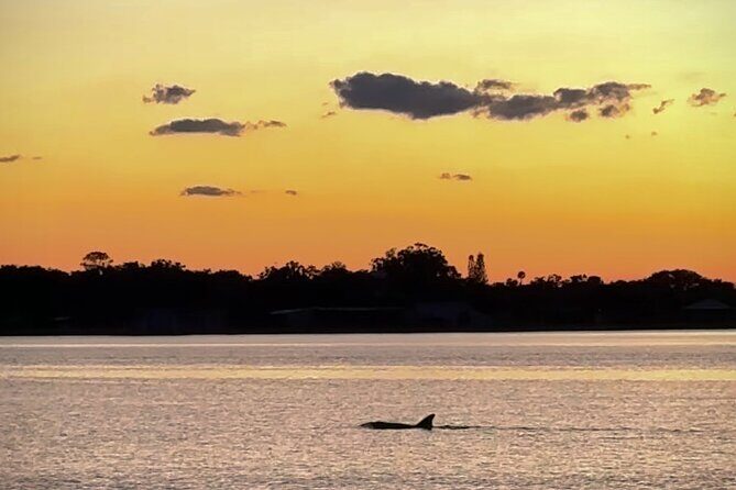 Clear Kayak Manatee Viewing Sunset and Glow Tour of Crystal River - Final Thoughts: Is This Tour Right for You?