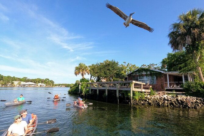 Clear Kayak Manatee Viewing Sunset and Glow Tour of Crystal River - Good To Know