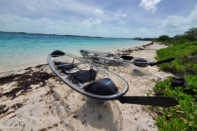 Clear Kayak Mangrove Eco Tour - Tour Highlights