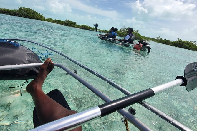 Clear Kayak Mangrove Eco Tour - Kayak Equipment and Safety