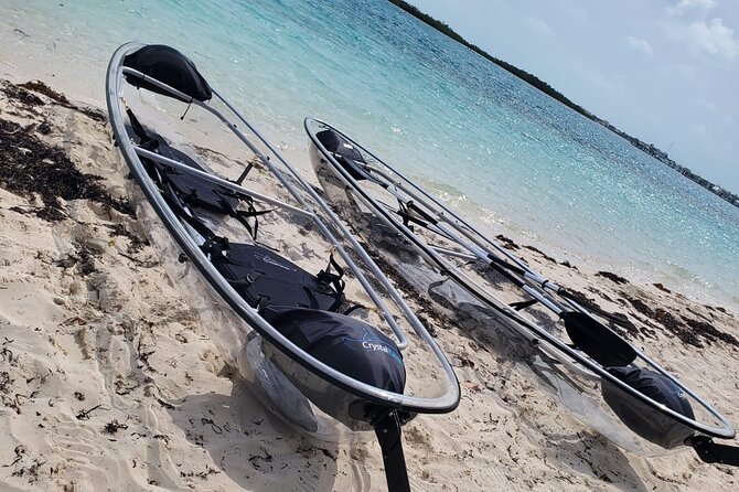 Clear Kayak Mangrove Eco Tour - Wildlife Spotting Opportunities