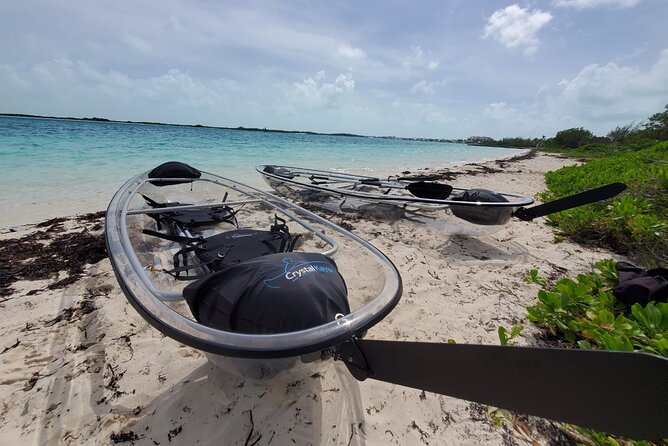 Clear Kayak Mangrove Eco Tour - Common Questions