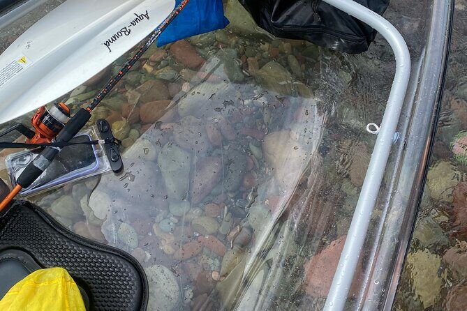 Clear Kayak Rentals for Flathead Lake - The Experience in Detail