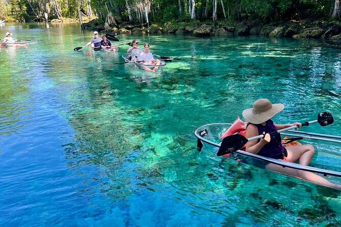 Clear Kayak Spring & Wildlife Tour Crystal River with Free Photos - An In-Depth Look at the Tour Experience