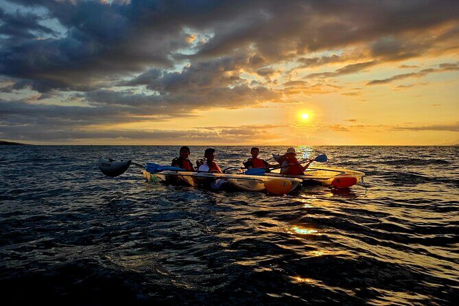 Clear Kayak Sunset and Glow Tour in Maui - What is the Clear Kayak Sunset and Glow Tour?