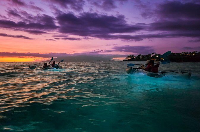 Clear Kayak Sunset and Glow Tour in Maui - What the Reviews Say