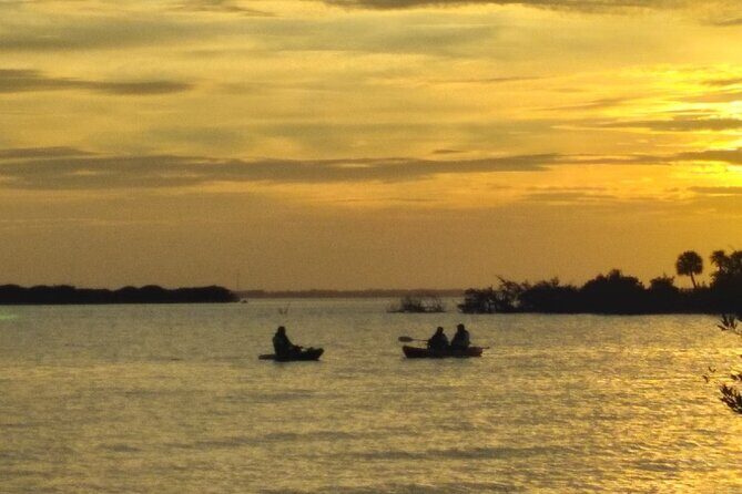 Clear Kayak Sunset Tour - Cocoa Beach - An Inside Look at the Experience