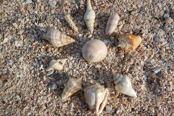 Clear Kayak Sunset Tour - Cocoa Beach - Final Thoughts