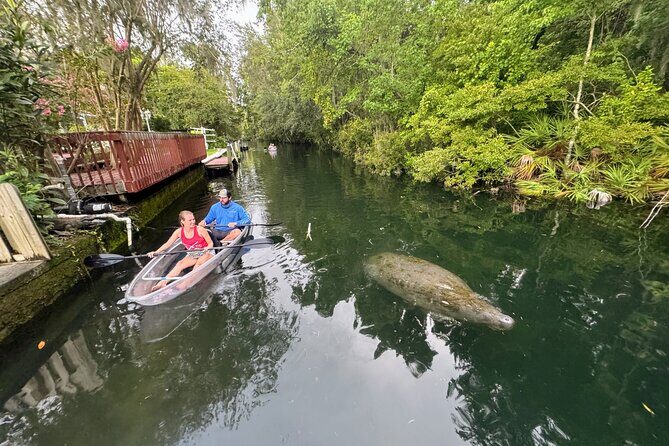 Clear Kayak Three Sisters Springs Sunset and Glow Tour - The Sum Up
