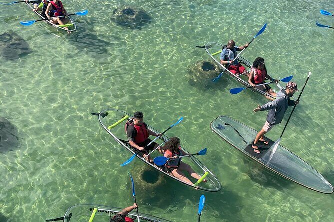 Clear Kayak Tour in Condado Lagoon - Good To Know
